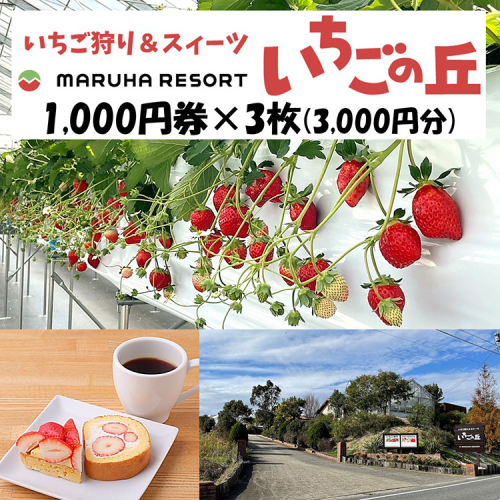 まるは食堂 マルハリゾート いちごの丘1,000円券3枚（3,000円分） ※着日指定不可 1073960 - 愛知県美浜町