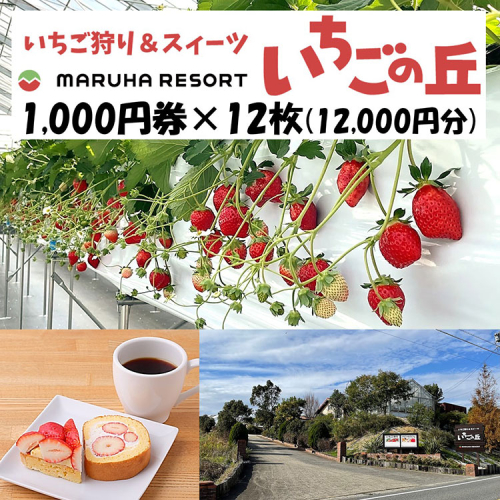 まるは食堂 マルハリゾート いちごの丘1,000円券12枚（12,000円分） ※着日指定不可 1074210 - 愛知県美浜町