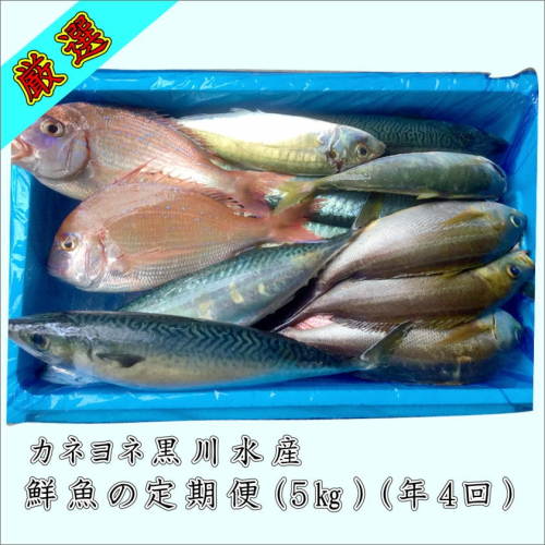 御坊産鮮魚セット 5kg 【定期便】(年4回お届け)【配送不可地域】沖縄・北海道・東北・九州 1075667 - 和歌山県御坊市