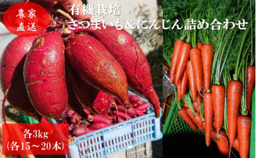 有機栽培 秋野菜 さつまいも 3kg(10本程度)＋にんじん3kg (12～15本) 計6kg 詰め合わせ 群馬県産 東吾妻有 機JAS 認証取得 サツマイモ 人参 詰合せ 野菜セット 国産 国産野菜 野菜詰め合わせ 食材 根菜  1078722 - 群馬県東吾妻町