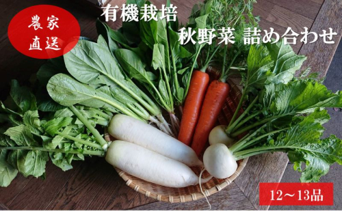 有機栽培 秋野菜 詰め合わせ 群馬県産 東吾妻 有機JAS 認証取得 秋 野菜 やさい 詰合せ 旬 野菜セット 国産 国産野菜 ほうれん草 人参 小松菜 大根 さつまいも 春菊 かぶ  1078723 - 群馬県東吾妻町