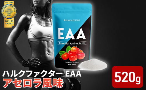 モンドセレクション金賞 ハルクファクター EAA アセロラ風味 人工甘味料不使用 大容量 520g 必須アミノ酸 BCAA プロテイン 人気 おいしい 筋トレ サプリメント 美容 燃焼系 ダイエット サプリ  国産  楽天ランキング1位  1079013 - 岐阜県池田町