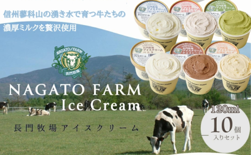 長門牧場アイスクリーム 10個セット スイーツ 107974 - 長野県長和町