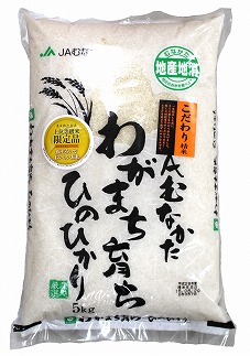 【米定期便】【年6回偶数月】【2026年2月発送開始】JAよりお届け！「ひのひかり」 5kg（5kg×1袋）×6回 計30kg[G5082a] 108042 - 福岡県福津市