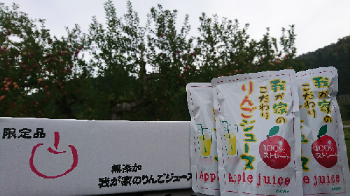 三関産ふじ100％リンゴジュース[B1-10401] 108073 - 秋田県湯沢市