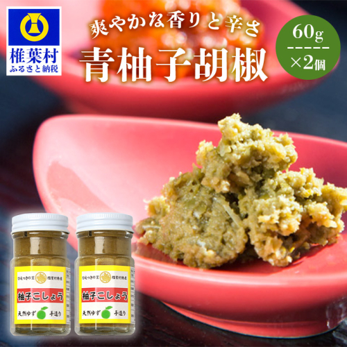 【椎葉村産天然ゆず・唐辛子使用】青柚子胡椒 2本×60g 1081714 - 宮崎県椎葉村