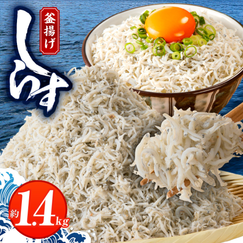 釜揚げしらす 1.4kg 訳あり 家庭用 完全無添加 うす塩仕立て 099H3366 1084082 - 大阪府泉佐野市