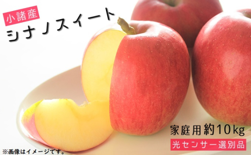 シナノスイート 家庭用 約10kg 長野県産 果物類 林檎 りんご リンゴ フルーツ 小諸市 108448 - 長野県小諸市