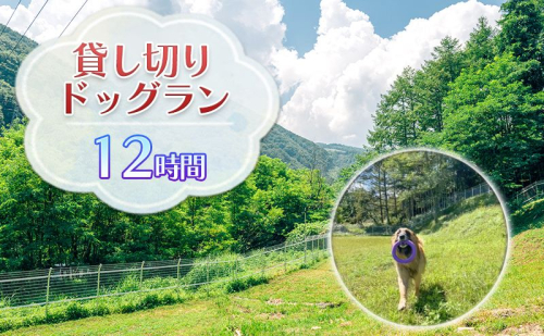 貸切ドッグラン利用券(12時間) チケット ペットとお出かけ お出かけ 犬連れ 愛犬とお出かけ 完全貸切 大型犬 BBQ テント 1084700 - 長野県長和町