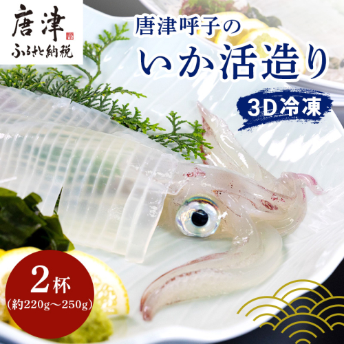 唐津呼子産いか活造り 2杯(約220g～250g×2) 急速冷凍 新鮮そのまま食卓へ！イカ 刺身 簡単 ギフト 1085576 - 佐賀県唐津市