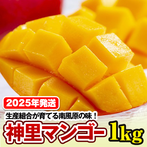 【2026年発送】生産組合が育てる南風原の味　神里マンゴー1kg 108590 - 沖縄県南風原町