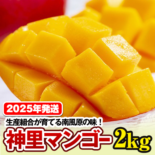 【2026年発送】生産組合が育てる南風原の味　神里マンゴー2kg 108591 - 沖縄県南風原町