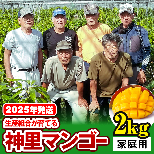 【2026年発送】生産組合が育てる神里のマンゴー2kg　家庭用 108706 - 沖縄県南風原町