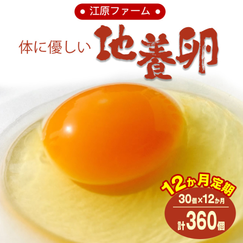 【定期便12か月】 江原ファーム 体に優しい地養卵（30個） | 卵 定期便 30個 玉子 たまご タマゴ 生卵 鶏卵 生みたて 産みたて 地養卵 新鮮 濃厚 健康 TKG たまごかけごはん ご飯のお供 国産 ギフト 贈答 贈り物 お中元 お歳暮 プレゼント 茨城県 古河市 直送 農家直送 産地直送 送料無料 _AG15 1091475 - 茨城県古河市