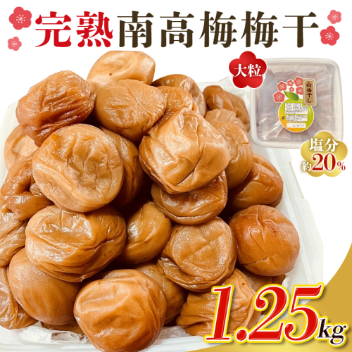 訳あり品 数量限定 完熟南高梅使用梅干し1.25kg 2L～4L / 梅 梅干し 梅干 訳あり わけあり ワケアリ 昔ながら まろやか 無添加 塩分濃度約20％ 無添加人気 大容量  大粒 肉 厚 お米 おにぎり 焼酎 梅酒 自家栽培 健康 1091790 - 三重県紀宝町
