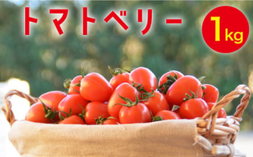 【2025年12月～発送】トマトベリー 1kg / ミニトマト トマト トマトベリー とまと 野菜 サラダ プチトマト / 南島原市 / 長崎県農産品流通合同会社 [SCB029]