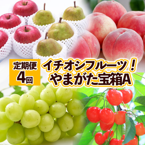 【定期便4回】イチオシフルーツ！やまがた宝箱A FY25-823 1092601 - 山形県山形市