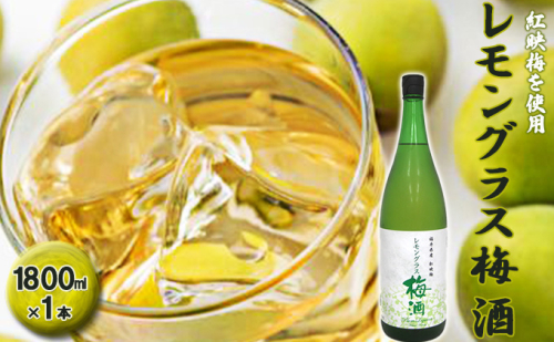 福井県産 紅映梅を使用した レモングラス梅酒(1800ml)1本 お酒 洋酒 リキュール リキュール類 1093909 - 福井県若狭町
