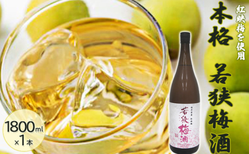 福井県産 紅映梅を使用した本格梅酒 若狭梅酒(1800ml)1本 お酒 洋酒 リキュール リキュール類 1093910 - 福井県若狭町