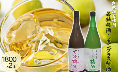 福井県産 紅映梅を使用した 若狭梅酒、レモングラス梅酒（1800ml） 2本セット　 お酒 洋酒 リキュール リキュール類  1093911 - 福井県若狭町