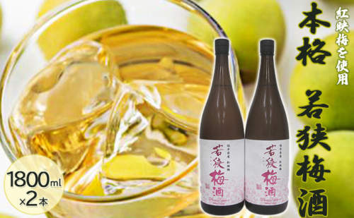 福井県産 紅映梅を使用した本格梅酒 若狭梅酒(1800ml)2本セット お酒 洋酒 リキュール リキュール類 1093913 - 福井県若狭町