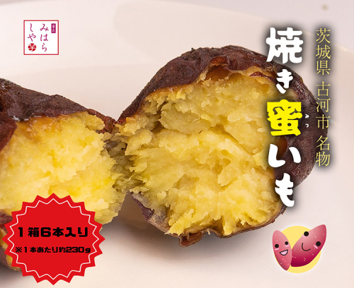 【スイーツのような甘さ】焼き蜜いも（1箱6本入り） |  スイーツ 芋 いも イモ やきいも さつまいも サツマイモ おやつ お菓子 菓子 健康 食物繊維 野菜 やさい 甘い ねっとり しっとり 冷凍 紅和み 長期保存 蜜 茨城県産 茨城県 古河市 温め 冷やし _DP12 1093915 - 茨城県古河市