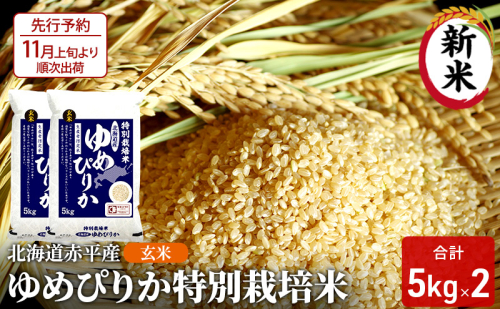 【先行予約2025年産米・11月上旬より順次出荷】玄米 北海道赤平産 ゆめぴりか 10kg (5kg×2袋) 特別栽培米 米 北海道 お米 ふるさと納税  109772 - 北海道赤平市