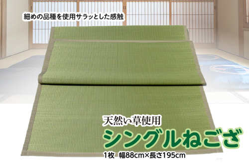 シングル ねござ 幅88cm×長195cm 寝ござ い草 1099285 - 熊本県八代市