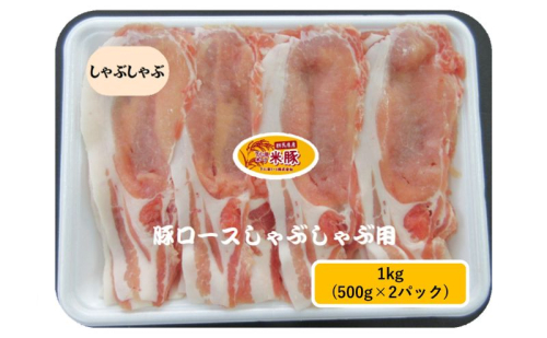 下仁田ポーク米豚ロース　しゃぶしゃぶ用 1kg(500g×2パック) 豚 ロース スライス しゃぶしゃぶ お肉 豚肉 小分け 冷凍 食材 国産豚ロース 料理 調理 鍋物 鍋料理 サッパリ 甘味 臭みが少ない  1104524 - 群馬県東吾妻町