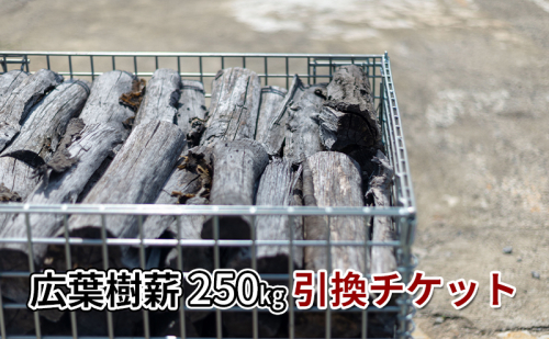 広葉樹ミックス薪（250kg）引換チケット 良質な薪 薪ストーブ用 焚火用 キャンプ用 アウトドアグッズ キャンプ用品 燃料  1106973 - 奈良県王寺町