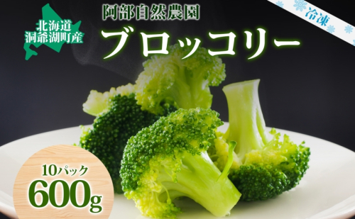 北海道 洞爺湖町産 ブロッコリー 計600g 60g 10袋 野菜 冷凍野菜 小分け 時短 簡単 調理 阿部自然農園 冷凍 北海道産 カット済み 一人暮らし 送料無料 洞爺湖町  111273 - 北海道洞爺湖町