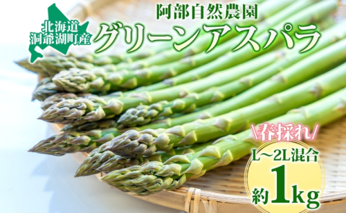 北海道 洞爺湖町産 グリーンアスパラ 約1kg L～2L混合 5月下旬頃お届け 2026 先行受付 路地 アスパラ アスパラガス 野菜 農作物 サラダ 天ぷら 新鮮 国産 人気 お取寄せ 産地直送 冷蔵 洞爺湖  111364 - 北海道洞爺湖町
