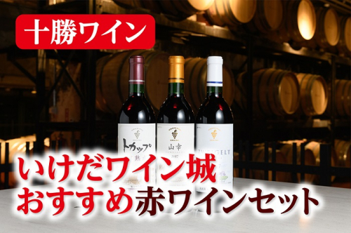 十勝ワイン いけだワイン城おすすめ赤ワインセット3本 山幸 ツバイゲルト 樽熟成 赤ワイン 北海道ワイン 北海道池田町 1113687 - 北海道池田町