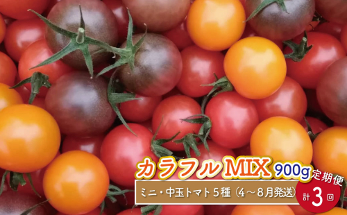 【4月～8月頃発送】＜約900g×3回 定期便 ＞カラフルトマト アイメック トマト 5種 MIX フルティカ　ましまファーム ミニトマト フルーツトマト  ミックス【常温】 糖度訳あり 1113697 - 高知県佐川町