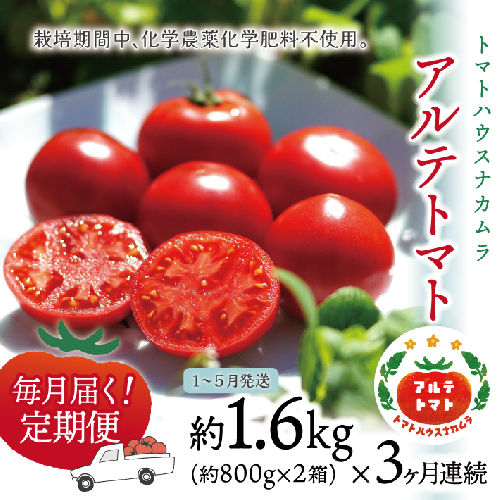 【1月～5月頃まで発送】＜アルテトマト 定期便 約1.6kg×3ヶ月連続＞フルーツトマト 合計4.8kg トマトハウスナカムラ　栽培期間中化学農薬・化学肥料不使用 1113699 - 高知県佐川町