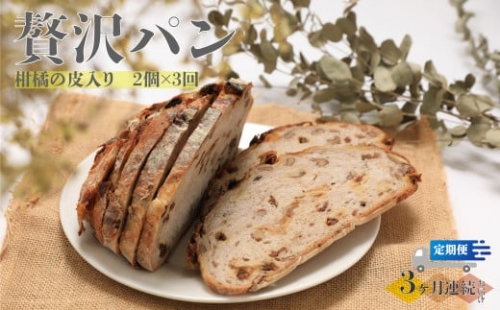 【3回定期便】柑橘の皮入り☆限定！贅沢パン 天然酵母 パン ワインとの相性抜群 レーズン くるみ どっしり きめが細かい ハードパン 自家製酵母 450g×2個を3回連続でお届け！ 1113707 - 高知県佐川町