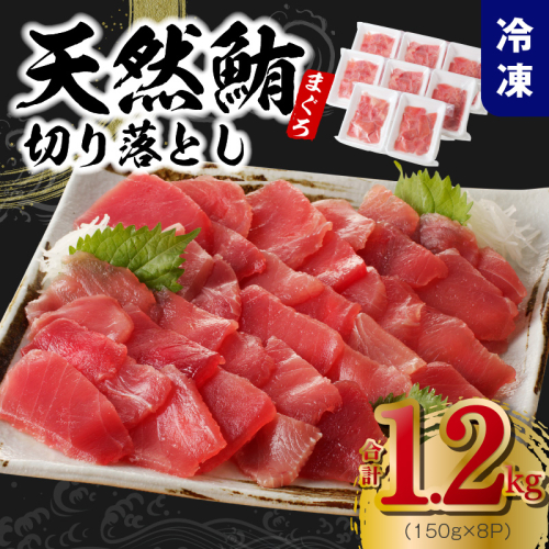 【家計応援】天然まぐろ 切り落とし 合計 1.2kg 小分け 150g×8P【訳あり サイズ不揃い 刺身 海鮮丼 鮪 まぐろ マグロ ユッケ 海鮮 ネギトロ 小分け ファミリー向け】 099H2461 1113944 - 大阪府泉佐野市