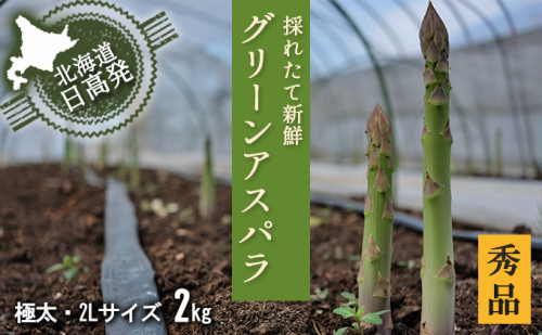 2L【秀品】約2kg ( 500g x 4袋 ) グリーンアスパラ<北海道日高門別産> 111404 - 北海道日高町