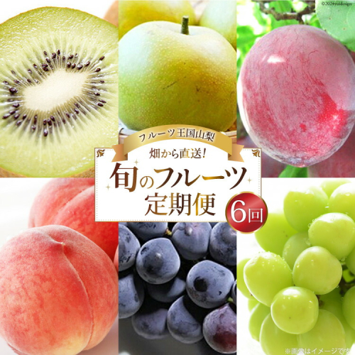 【先行受付】【6回 定期便】 フルーツ王国 山梨県産 6種セット ／ えべし フルーツ 果物 くだもの 貴陽 すもも もも 桃 梨 なし ぶどう ブドウ 葡萄 シャインマスカット キウイ 新鮮 果実 産地直送 山梨県 中央市 【2026年6月中旬-2027年1月下旬発送予定】 1116151 - 山梨県中央市