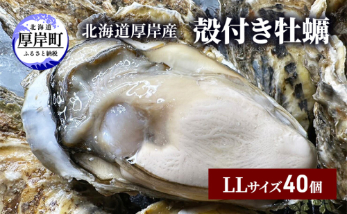 北海道 厚岸産 殻付き 牡蠣 LLサイズ 40個 魚貝類 生牡蠣 海鮮 海の幸 生食用牡蠣 生食用 生食用殻付き牡蠣 濃厚 甘み マルえもん オイスター  1116541 - 北海道厚岸町