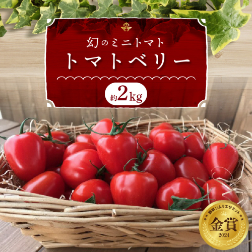 【2026年度予約分】増量約2kg！甘さ抜群!!トマト嫌いでも食べられるトマトベリー 4月～6月発送 野菜ソムリエサミット 金賞 受賞 長田農園 産地直送 トマト とまと 野菜 やさい フルーツ サラダ 濃厚 甘い ご褒美 プレゼント 美容 健康 リピート多数 人気 高評価 数量限定 碧南市 H004-147 111658 - 愛知県碧南市