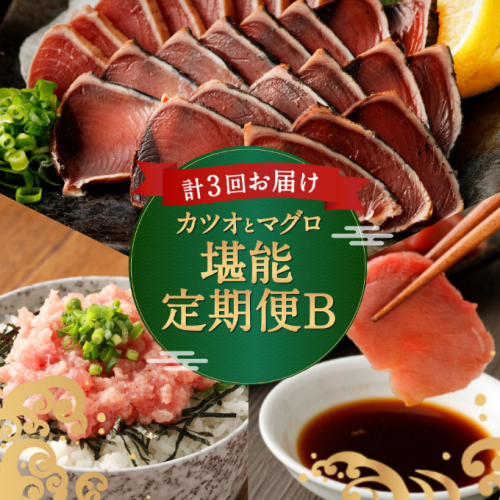 ＜３ヶ月連続＞カツオとマグロ堪能定期便Ｂ 111721 - 高知県室戸市