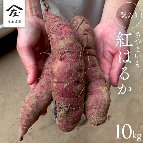 【 訳あり 】 さつまいも ！ 紅はるか 10kg サツマイモ 芋 いも べにはるか 茨城 美味しい おいしい ワケアリ 訳アリ [BK10-NT] 1119446 - 茨城県つくばみらい市