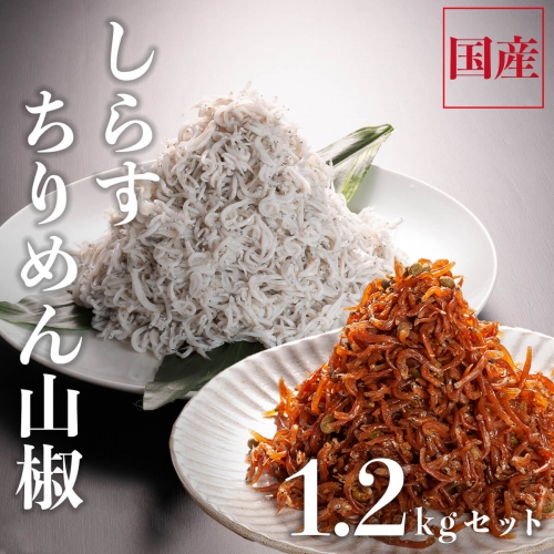 しらす 1kg ちりめん山椒 100g しらす佃煮 100g セット しらす干し 釜揚げしらす ちりめん山椒 しらす佃煮 国産 魚介類 111998 - 茨城県大洗町