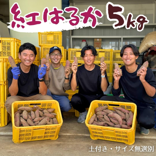 【 先行予約 】茨城県産 さつまいも 紅はるか 5kg （ 土付き サイズ無選別 ）【2025年11月頃から発送開始】 べにはるか いも 茨城 甘い おいしい 美味しい 訳あり [ED01-NT] 1120464 - 茨城県つくばみらい市