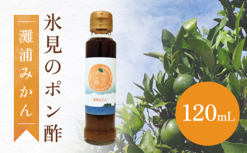 氷見のポン酢　灘浦みかん 120mL 富山県 氷見市 ポン酢 調味料 酢 蜜柑 柑橘  1120823 - 富山県氷見市