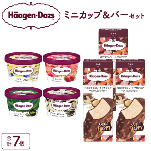 ミニカップ＆バー セット アイス スイーツ デザート_H0026-024 1121381 - 北海道浜中町