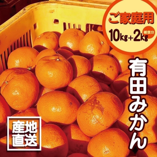 EH6100_【2025年先行予約】【訳あり ご家庭用】和歌山県産 有田みかん 10kg＋2kg保証分 サイズ混合 1121816 - 和歌山県湯浅町