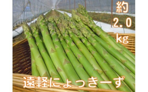 2026年 春アスパラ2kg en01-00003 1121978 - 北海道遠軽町