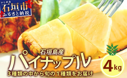 【訳あり】 石垣島産 パイナップル 詰め合わせ 約4kg (3～10個)《2026年5月から順次発送》 | ふるさと納税 パイナップル 産地直送 フルーツ 果物 パイン 石垣 沖縄 沖縄県石垣市 石垣島 KP-15